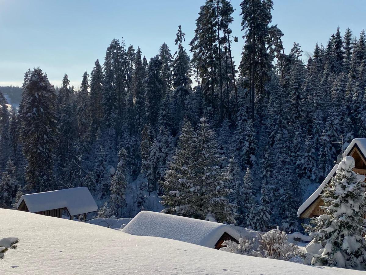 Goralska Willa Nowy Targ Buitenkant foto